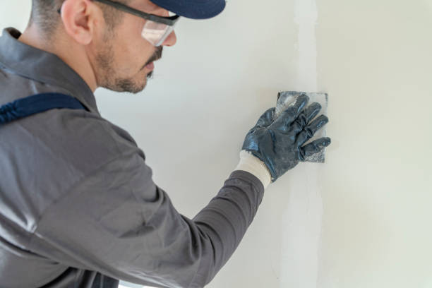 Best Trim and Molding Painting  in Hampton, IL