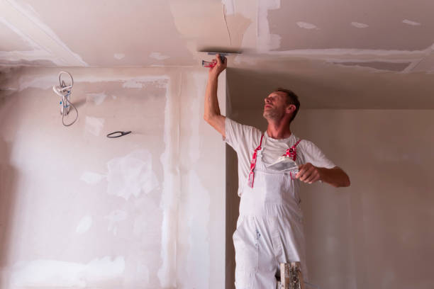 Best Drywall Repair  in Hampton, IL